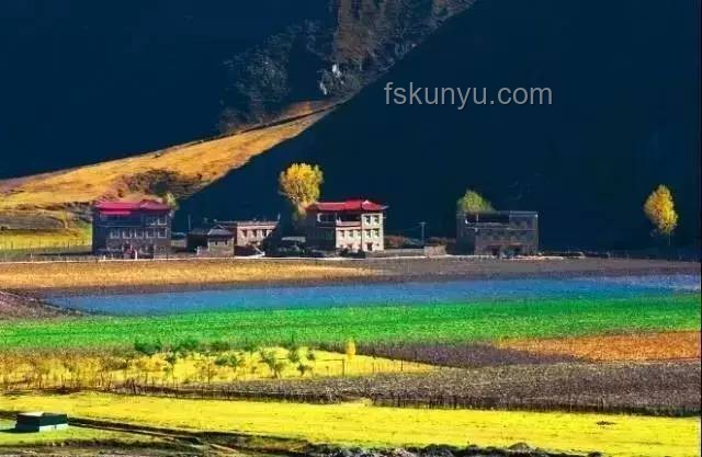 茫崖绿动未来：尕斯库勒湖畔的旅游与生态新趋势